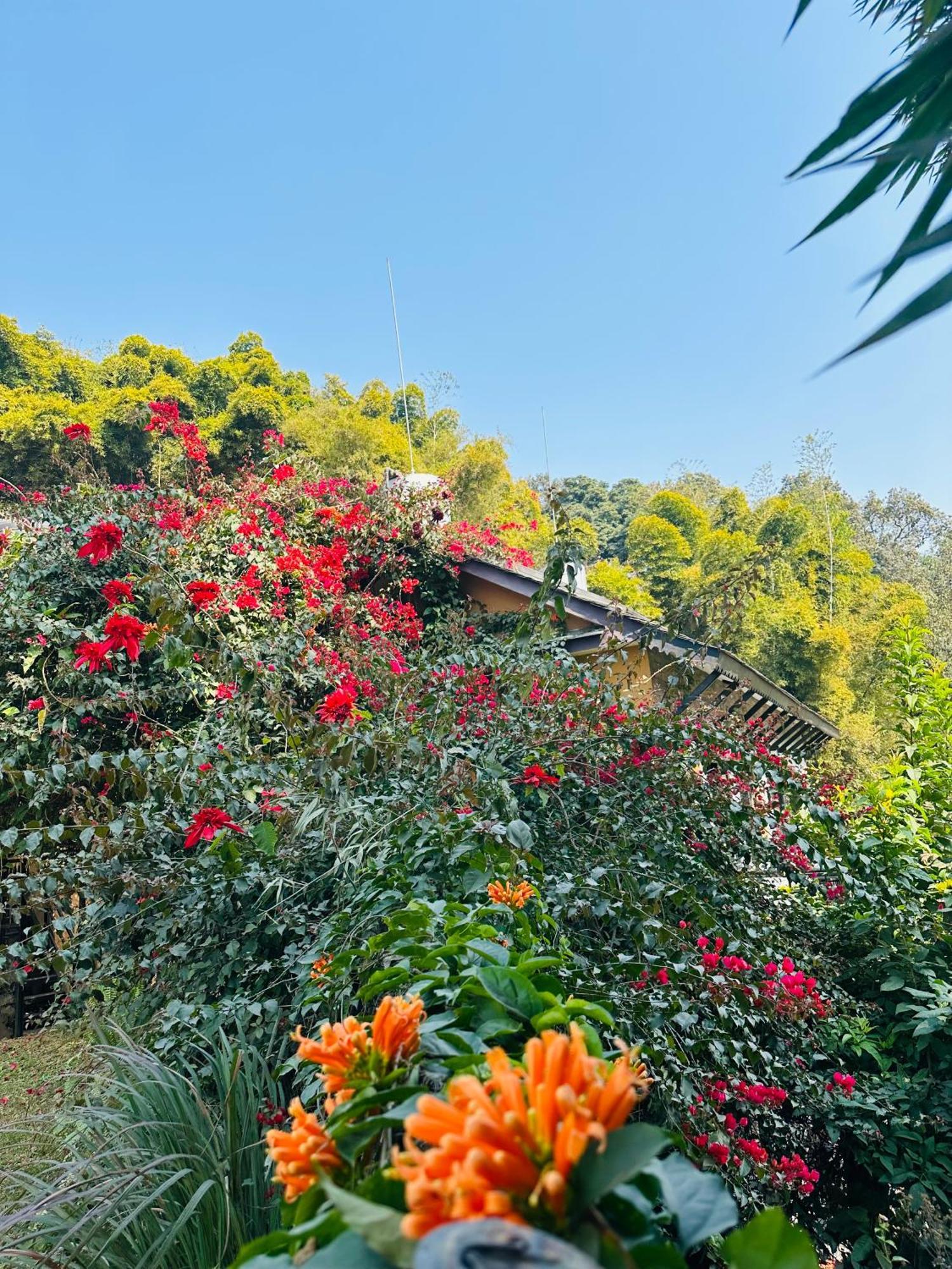 Homeland Forest Villa Pokhara Kültér fotó